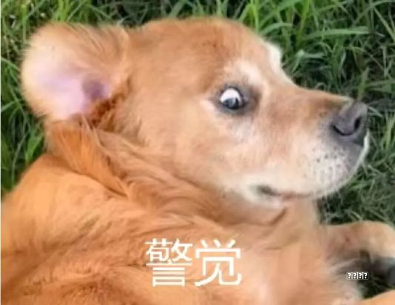 多行业厚积薄发从量变到质变 中国经济回升向好积聚多重优势